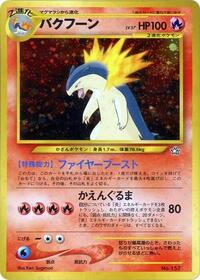 Japanese Typhlosion - Neo Premium File 1
