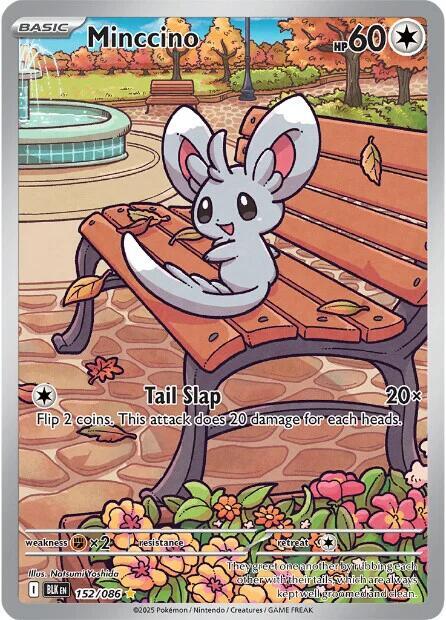 Minccino - Holofoil - 152/086